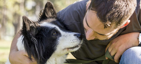 Dog Trainer Careers - PCDI Canada